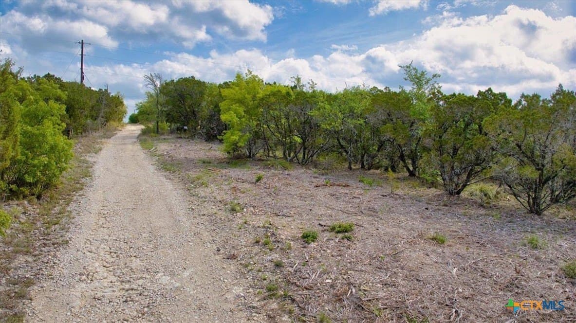 12.5 acres in Travis County - photo 13