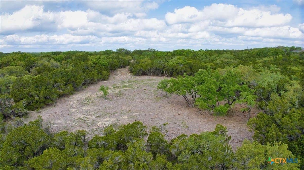 12.5 acres in Travis County - photo 7