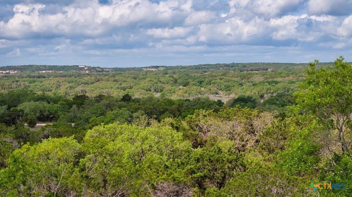 12.5 acres in Travis County - photo 16