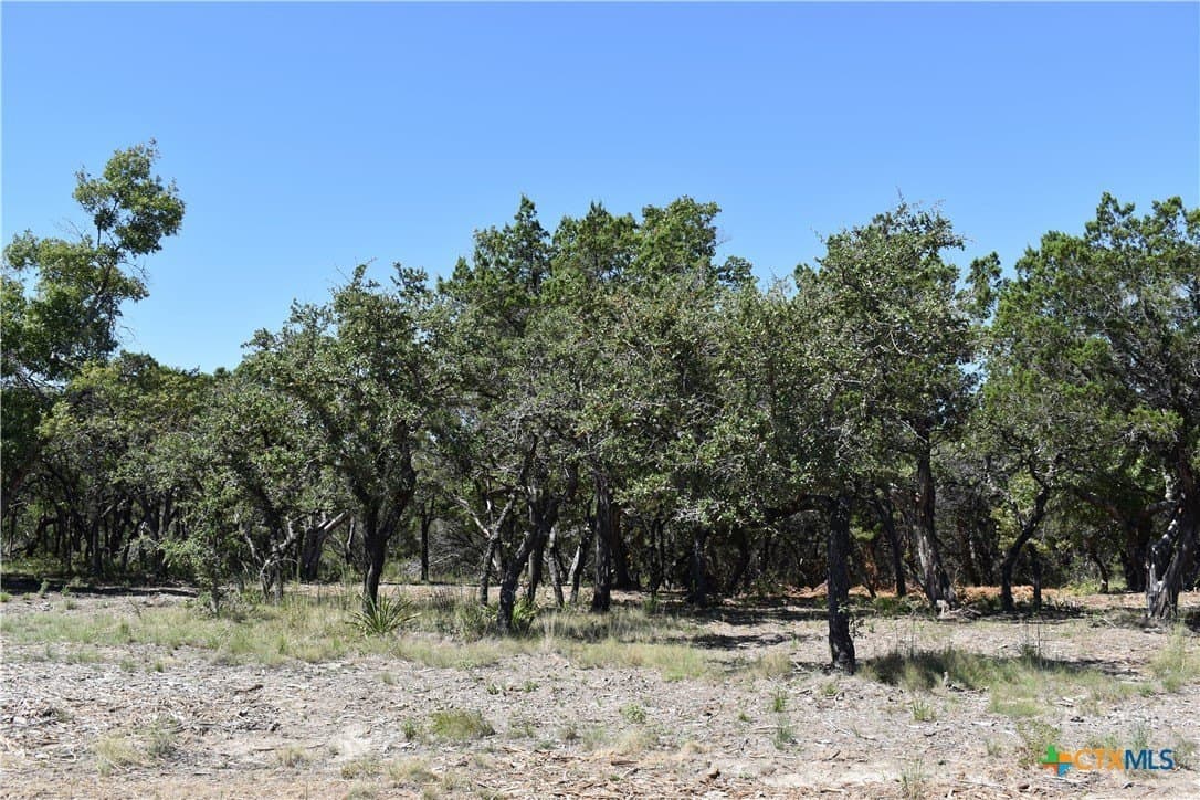 12.5 acres in Travis County - photo 20
