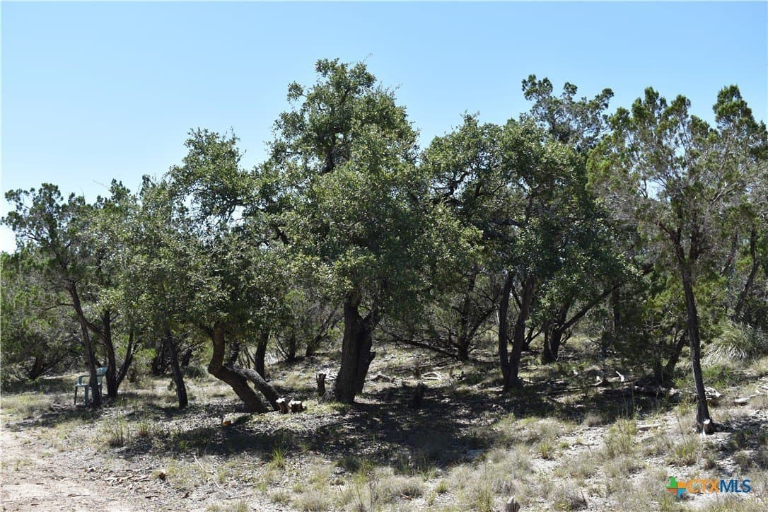 12.5 acres in Travis County - photo 23