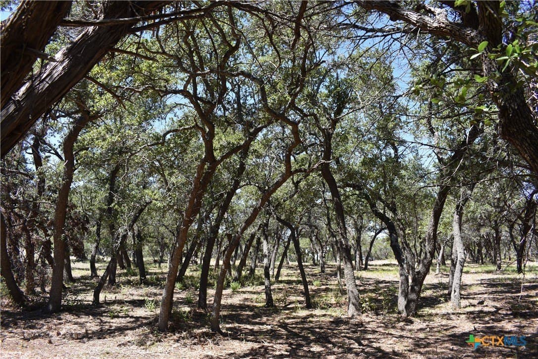 12.5 acres in Travis County - photo 28