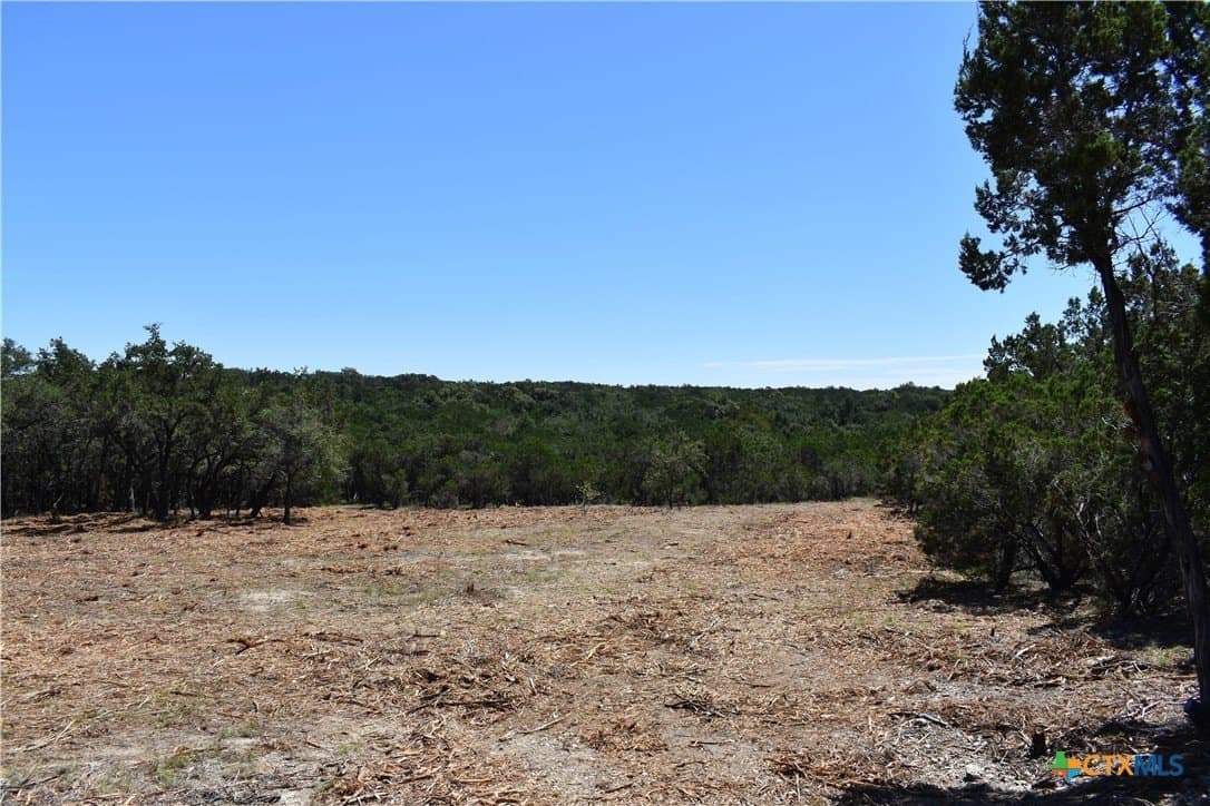 12.5 acres in Travis County - photo 17