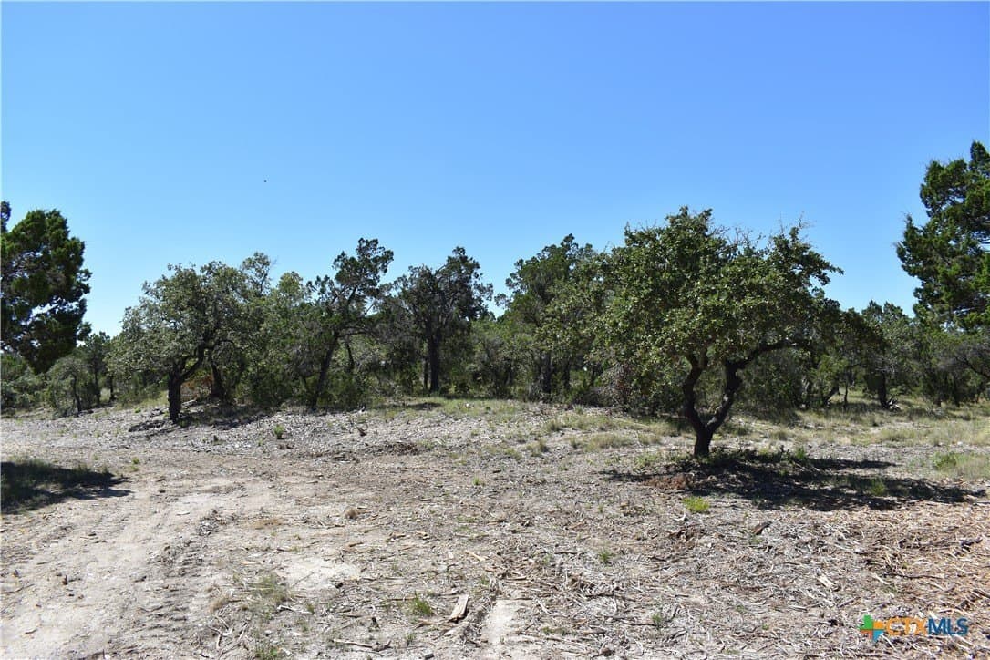 12.5 acres in Travis County - photo 22