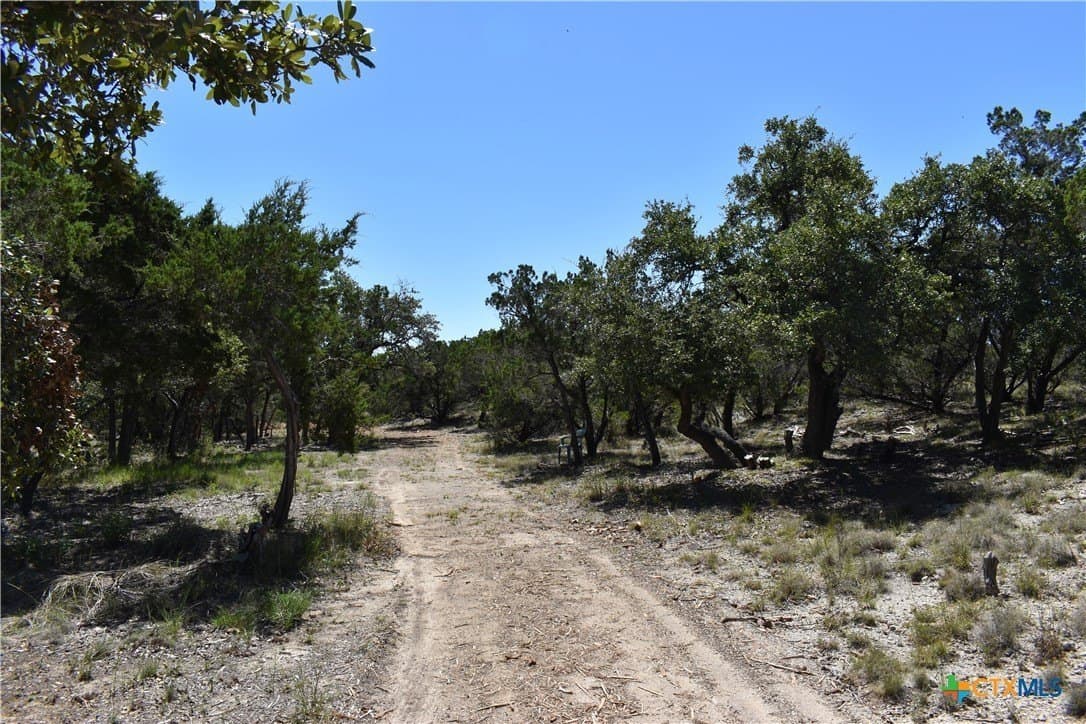 12.5 acres in Travis County - photo 25
