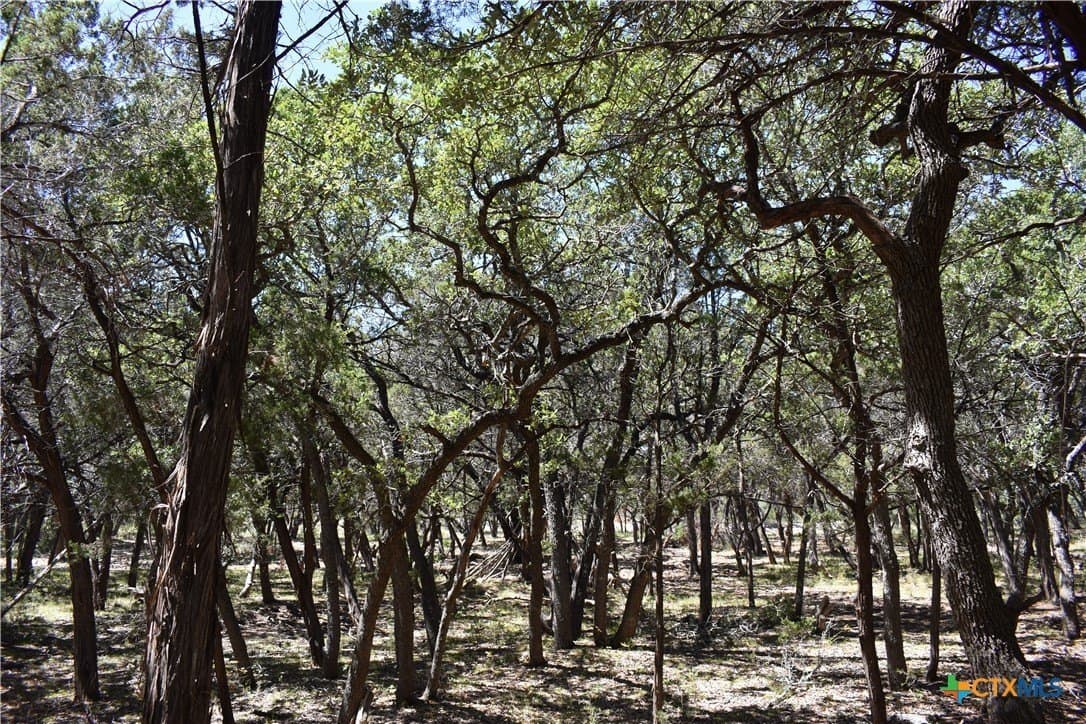 12.5 acres in Travis County - photo 27