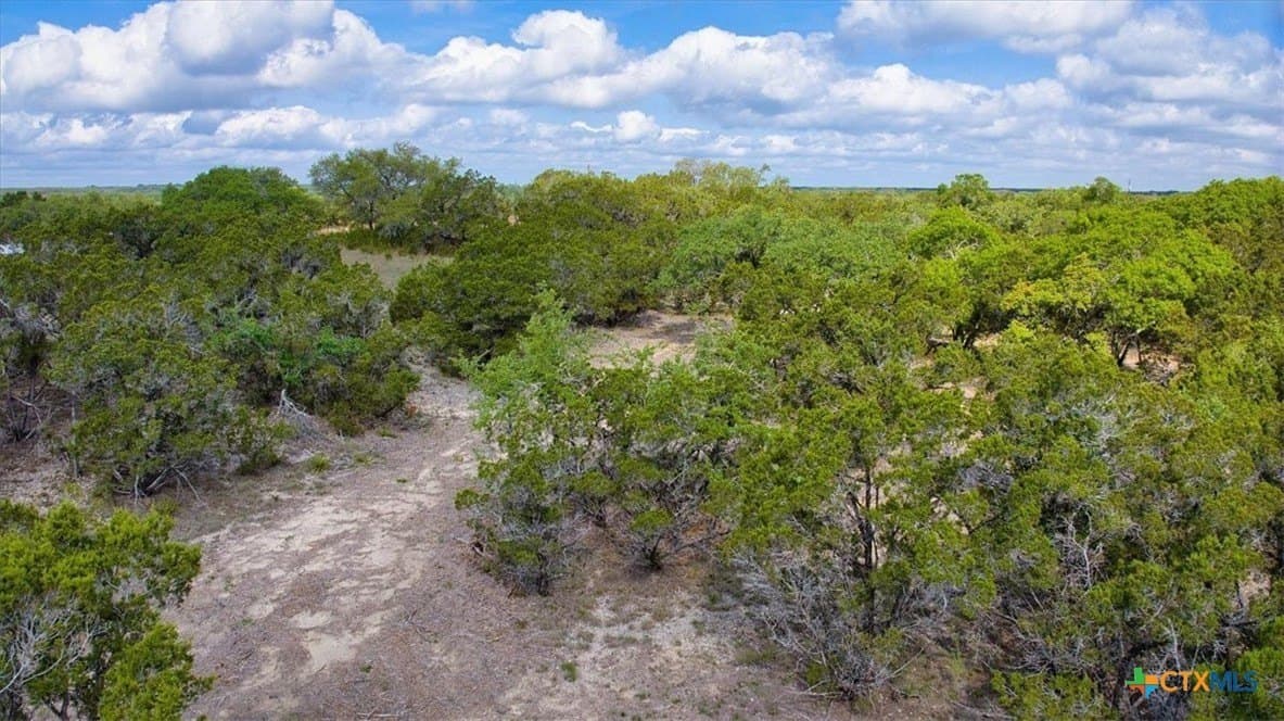 12.5 acres in Travis County - photo 10