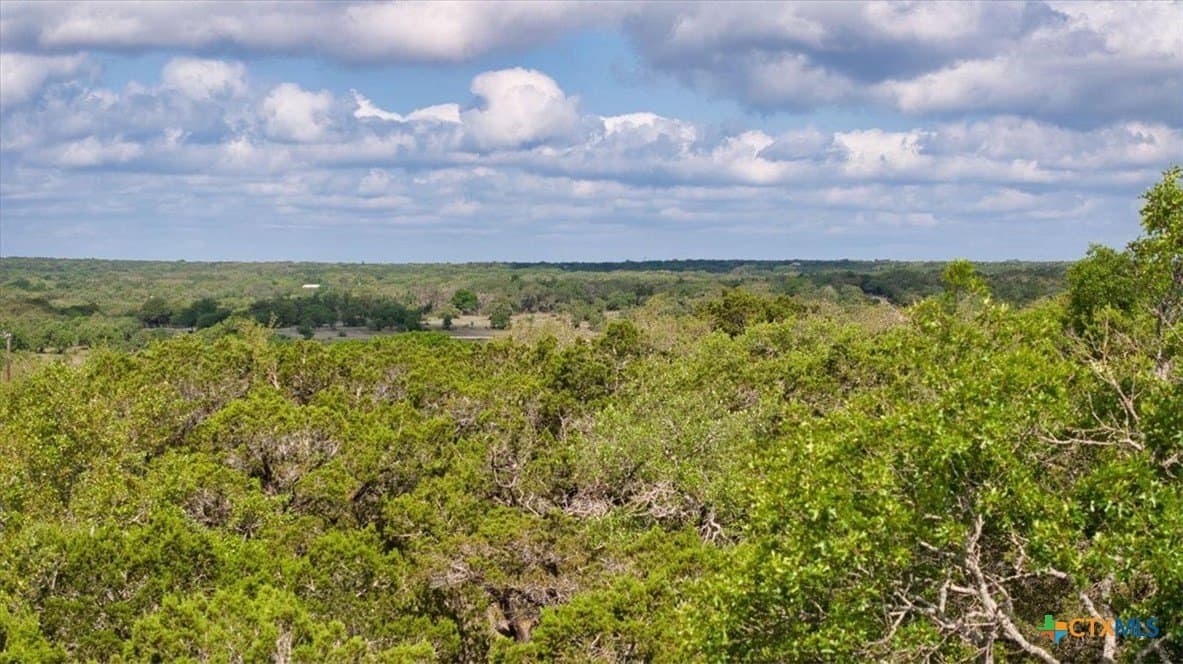 12.5 acres in Travis County - photo 12