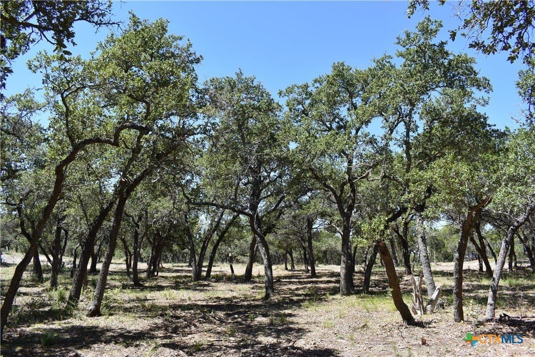 12.5 acres in Travis County - photo 24