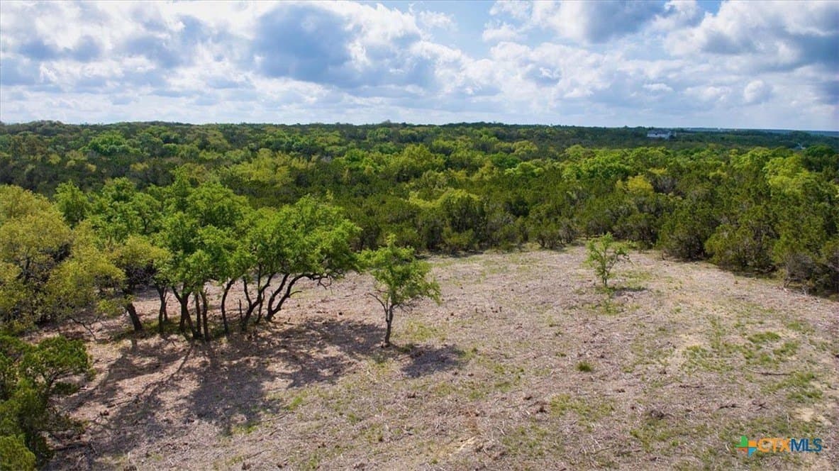 12.5 acres in Travis County - photo 9