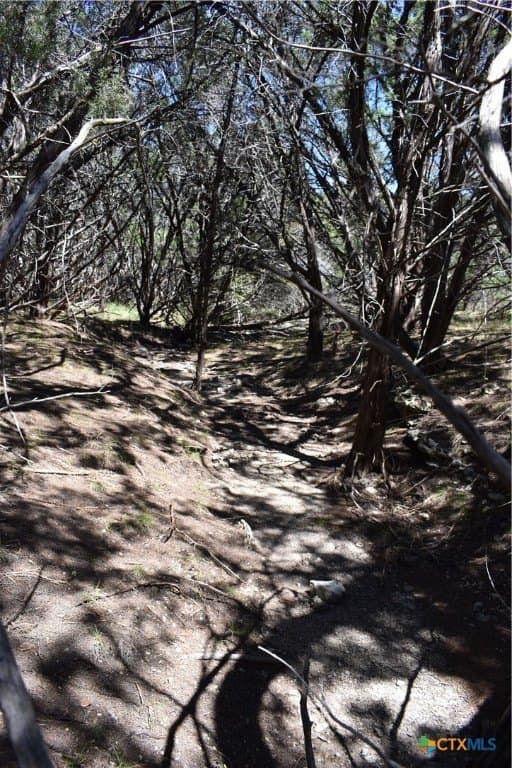 12.5 acres in Travis County - photo 26