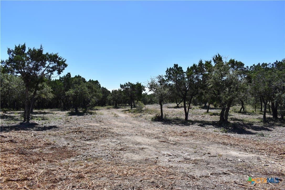 12.5 acres in Travis County - photo 19