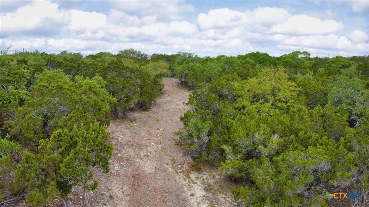 12.5 acres in Travis County - photo 8