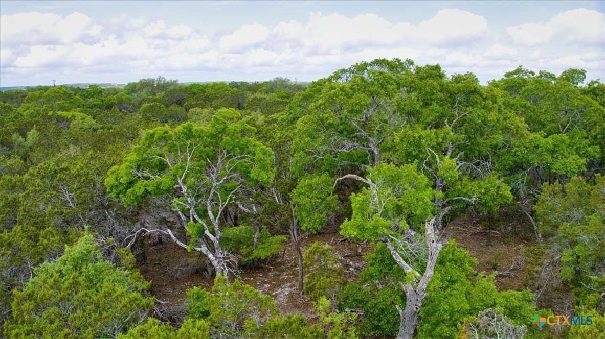 12.5 acres in Travis County - photo 15