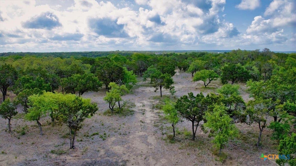 12.5 acres in Travis County gallery image 4