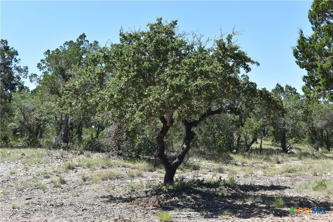 12.5 acres in Travis County - photo 21