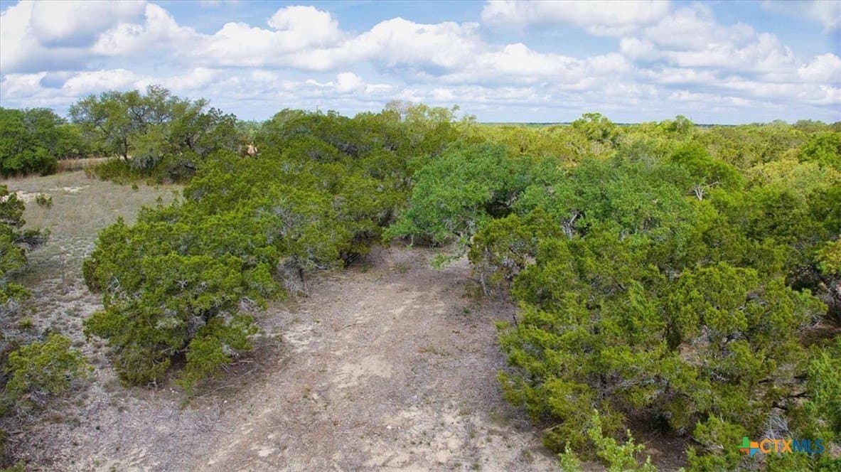 12.5 acres in Travis County - photo 11