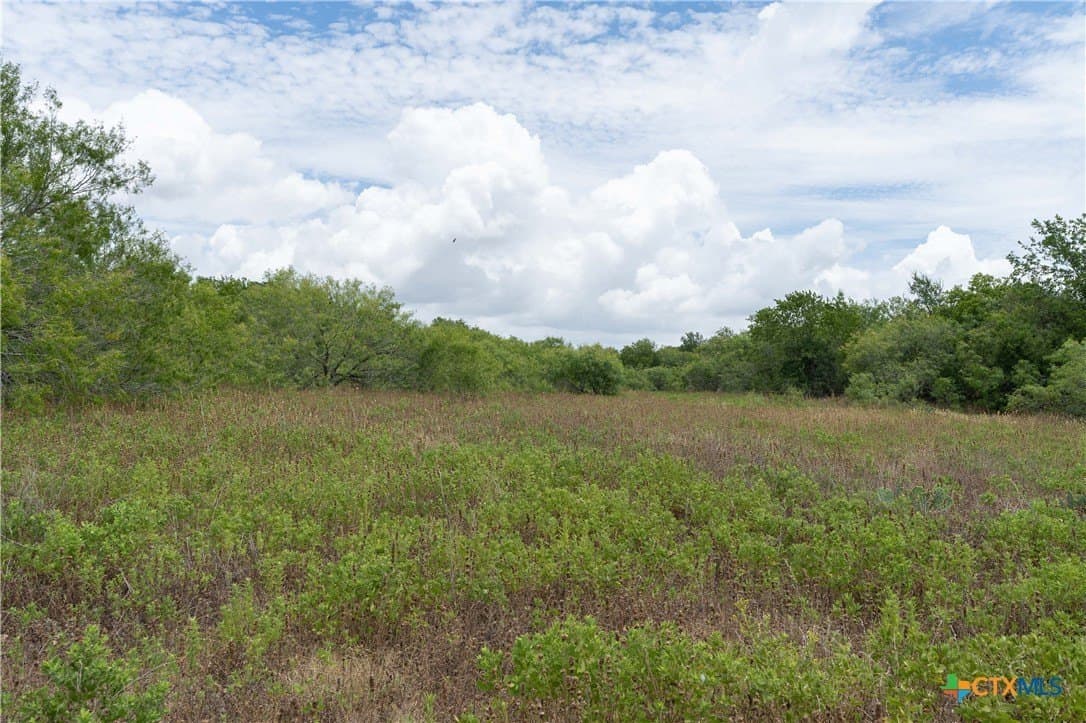 135.45 acres in Caldwell County - photo 33