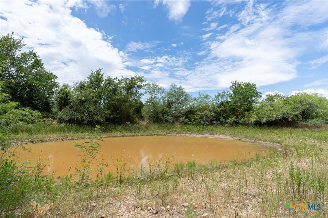 135.45 acres in Caldwell County gallery image 4