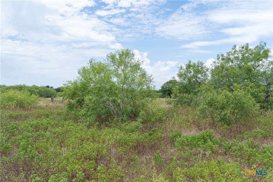 135.45 acres in Caldwell County - photo 34