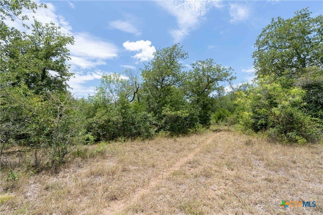 135.45 acres in Caldwell County featured view