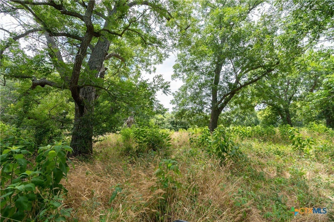135.45 acres in Caldwell County - photo 19