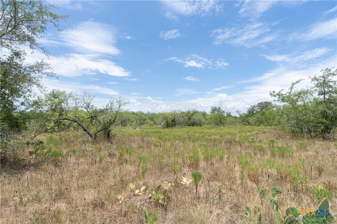135.45 acres in Caldwell County - photo 36