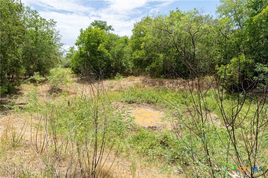 135.45 acres in Caldwell County - photo 30