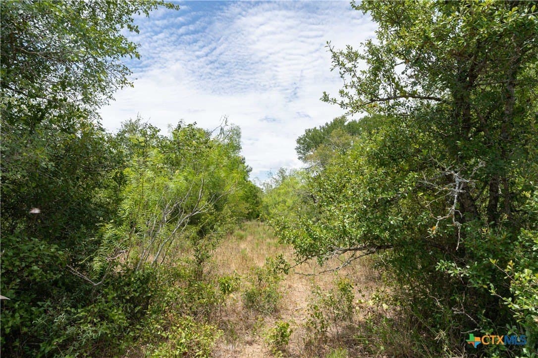 135.45 acres in Caldwell County - photo 29