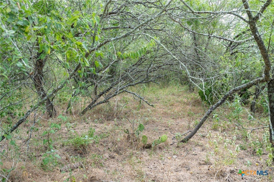 135.45 acres in Caldwell County - photo 32