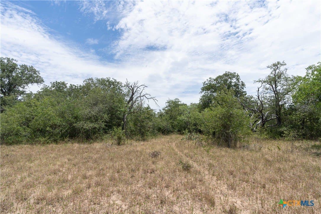 135.45 acres in Caldwell County - photo 31