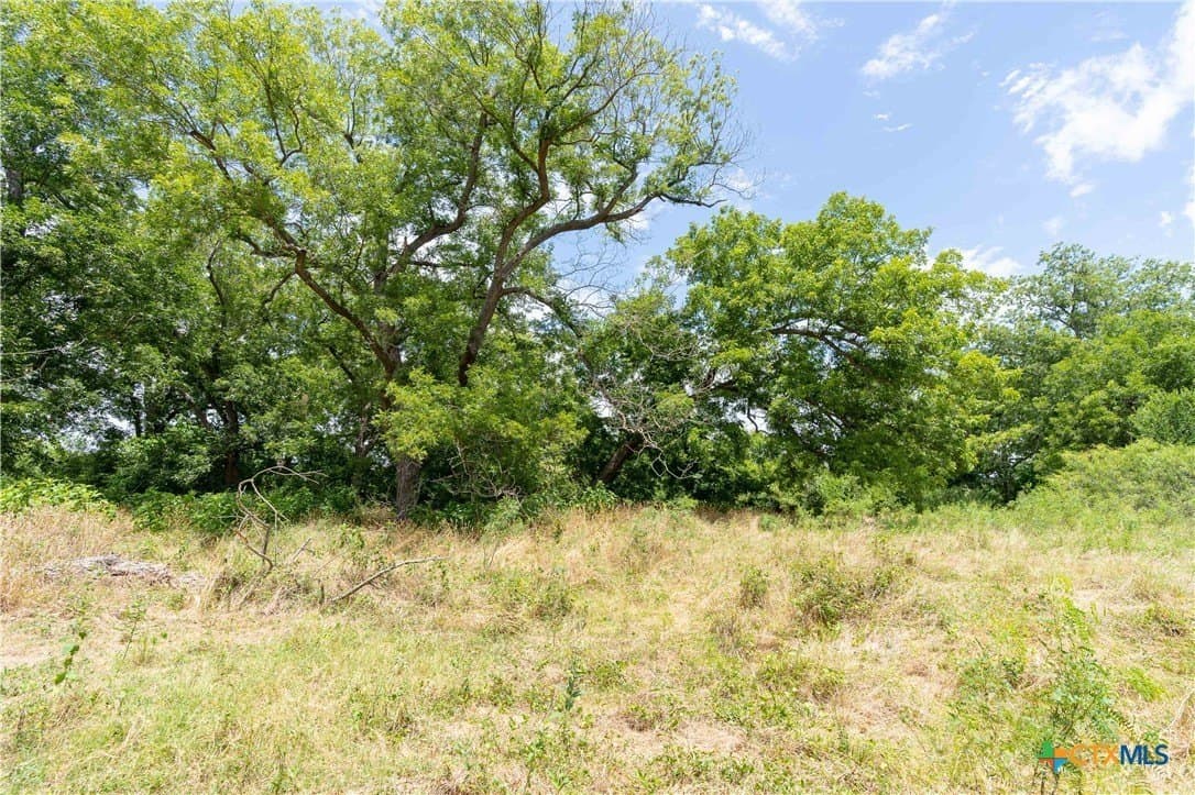 135.45 acres in Caldwell County - photo 15