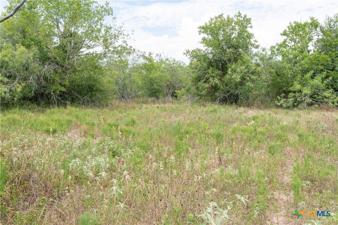 135.45 acres in Caldwell County - photo 35