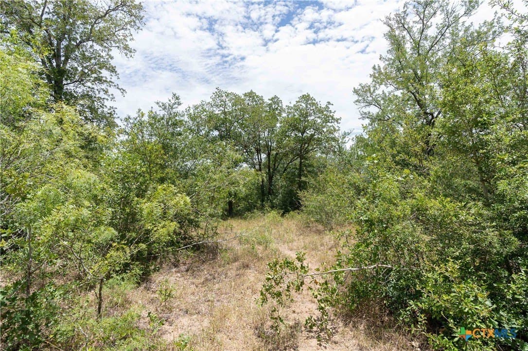 135.45 acres in Caldwell County - photo 25