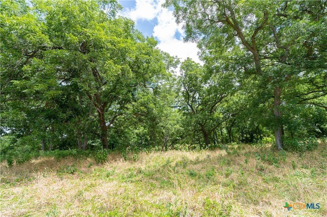 135.45 acres in Caldwell County - photo 18