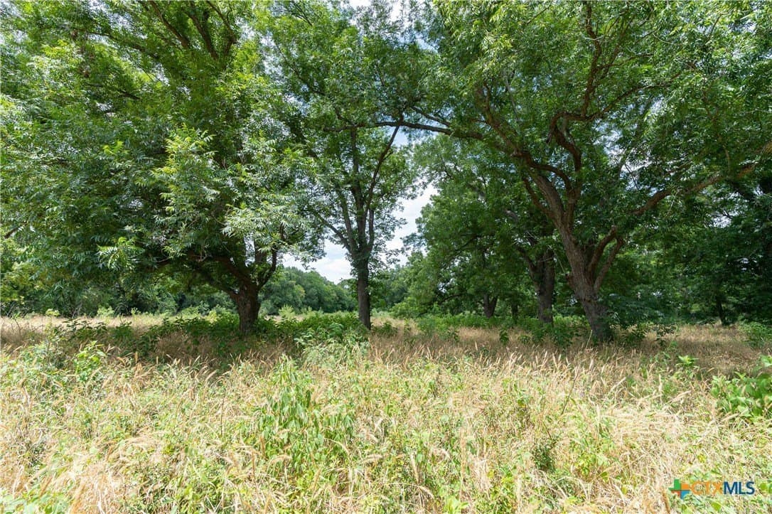 135.45 acres in Caldwell County - photo 17