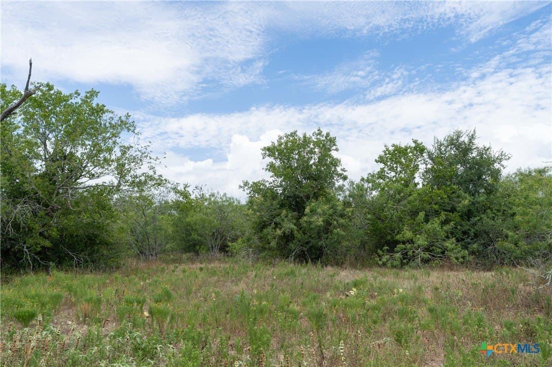 135.45 acres in Caldwell County - photo 26