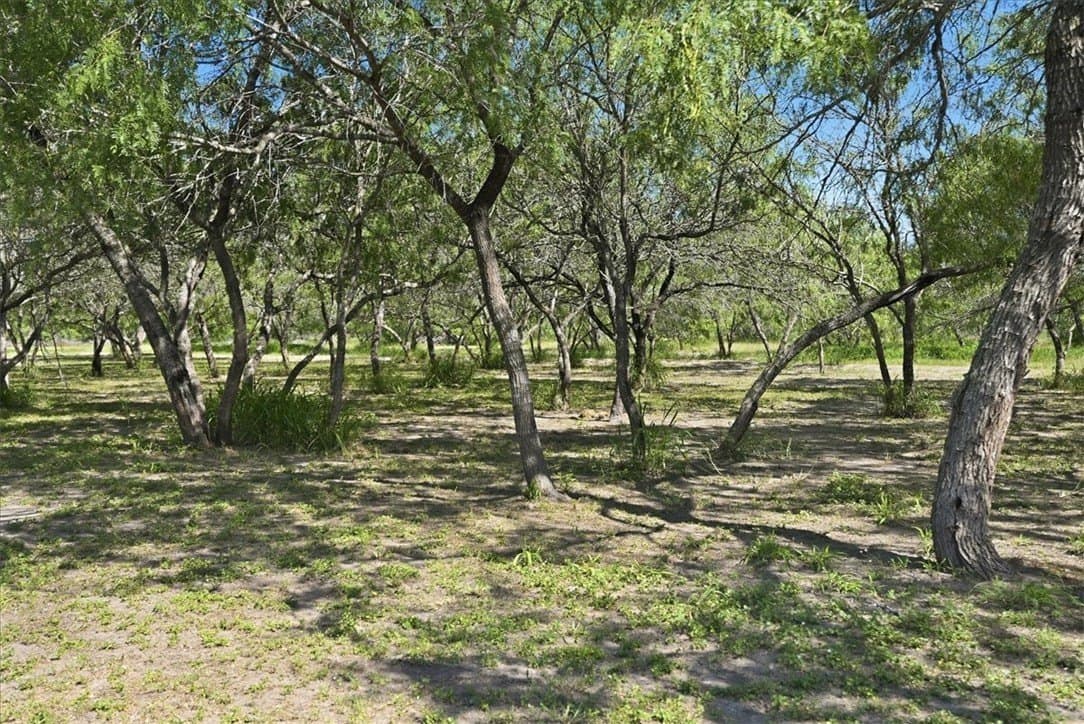 10.1 acres in San Patricio County - photo 35