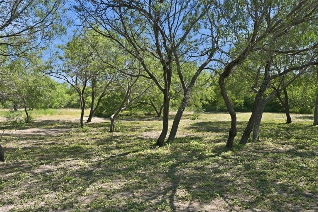 10.1 acres in San Patricio County - photo 36