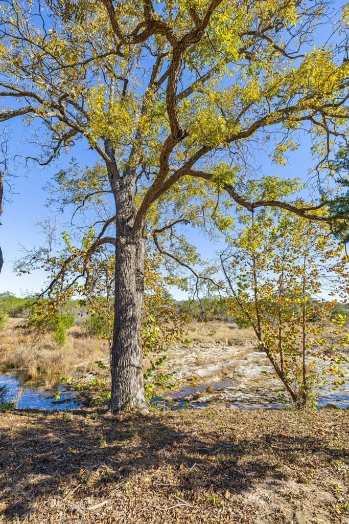 100 acres in Blanco County - photo 20
