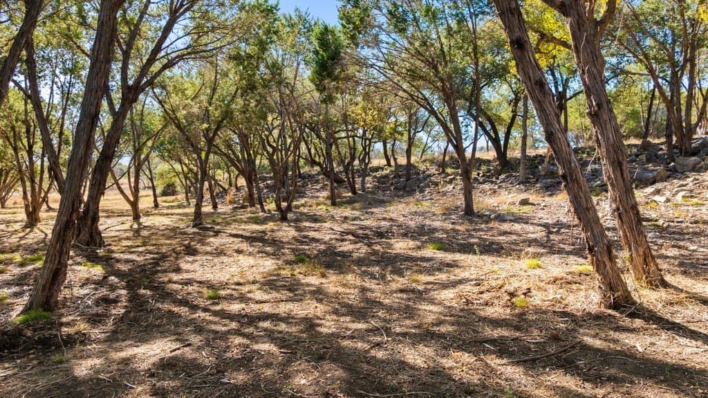 100 acres in Blanco County - photo 10