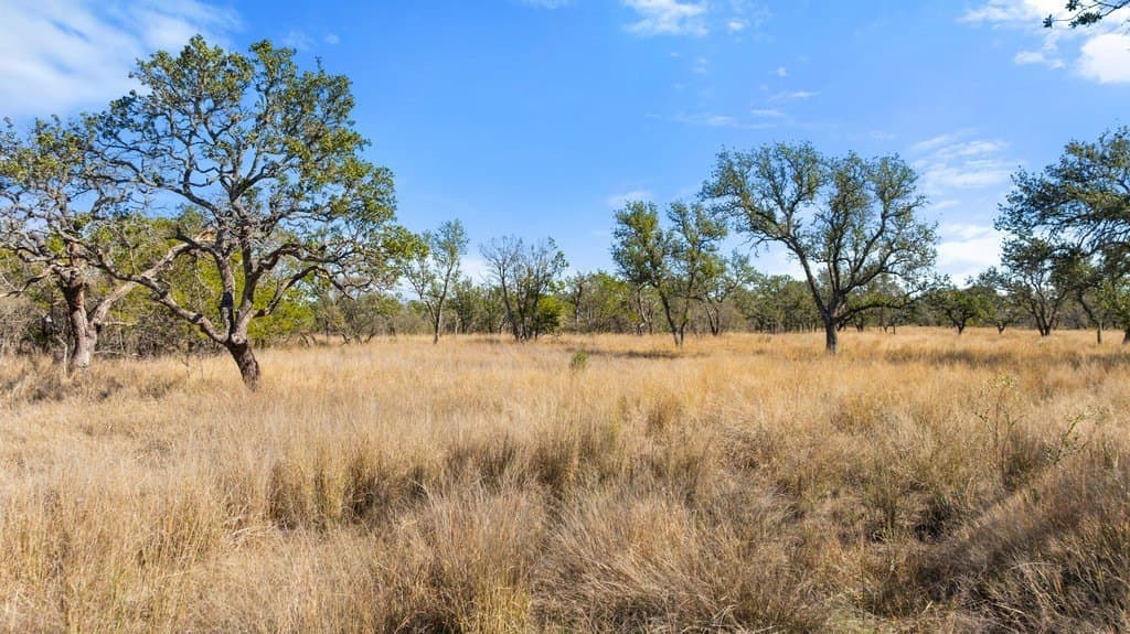 100 acres in Blanco County - photo 13