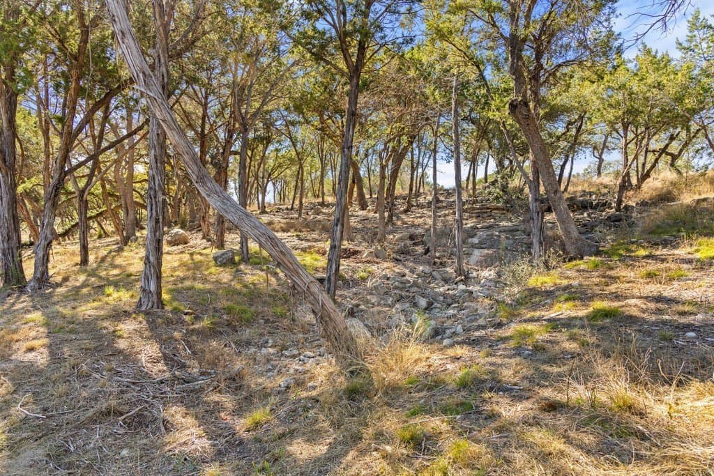 100 acres in Blanco County - photo 18