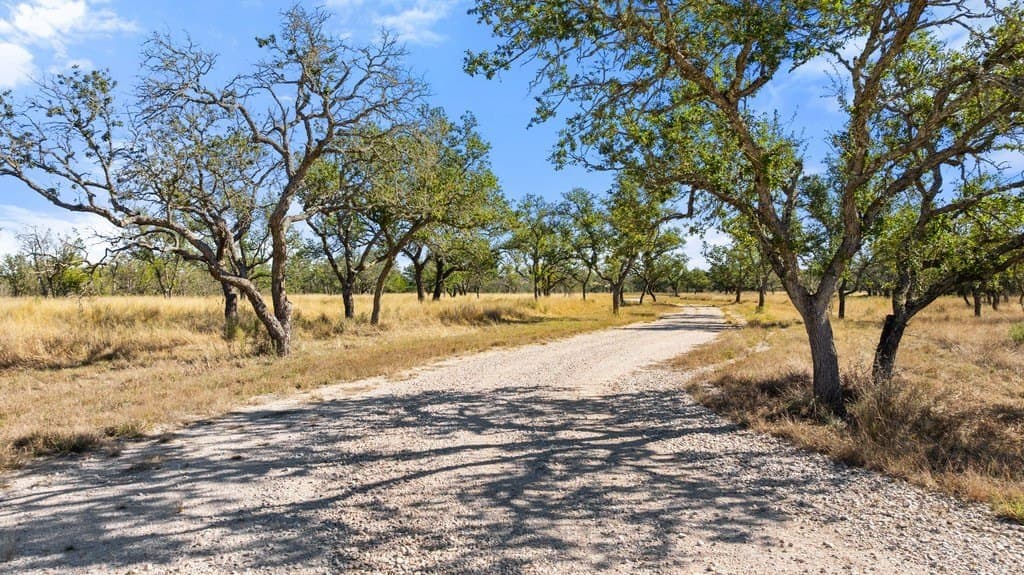 100 acres in Blanco County - photo 12