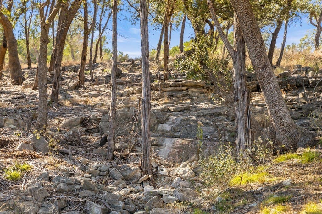 100 acres in Blanco County - photo 19
