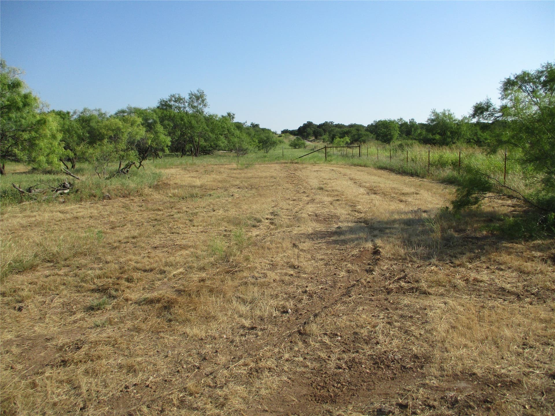 15 acres in Clay County gallery image 4
