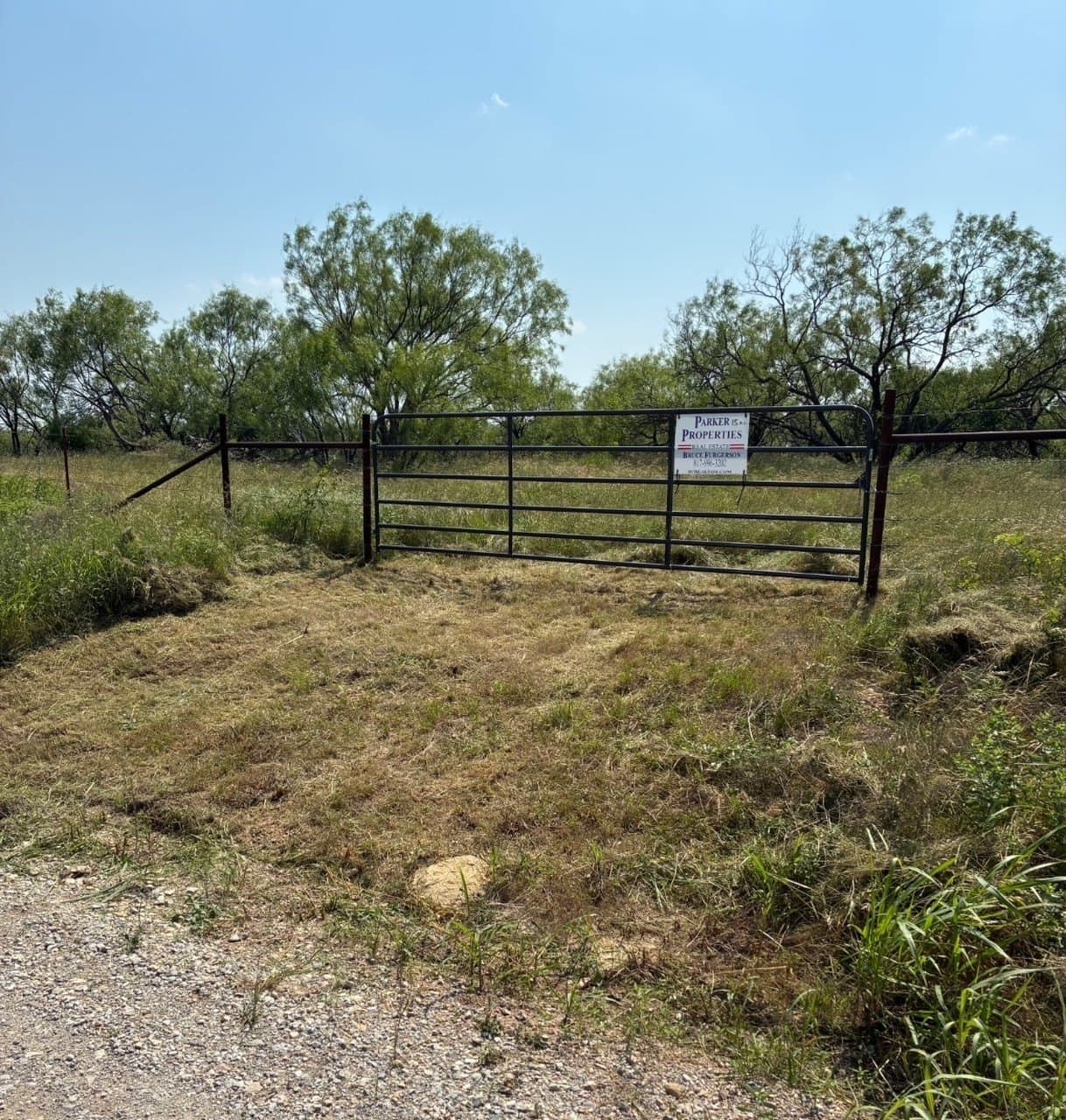 15 acres in Clay County gallery image 2