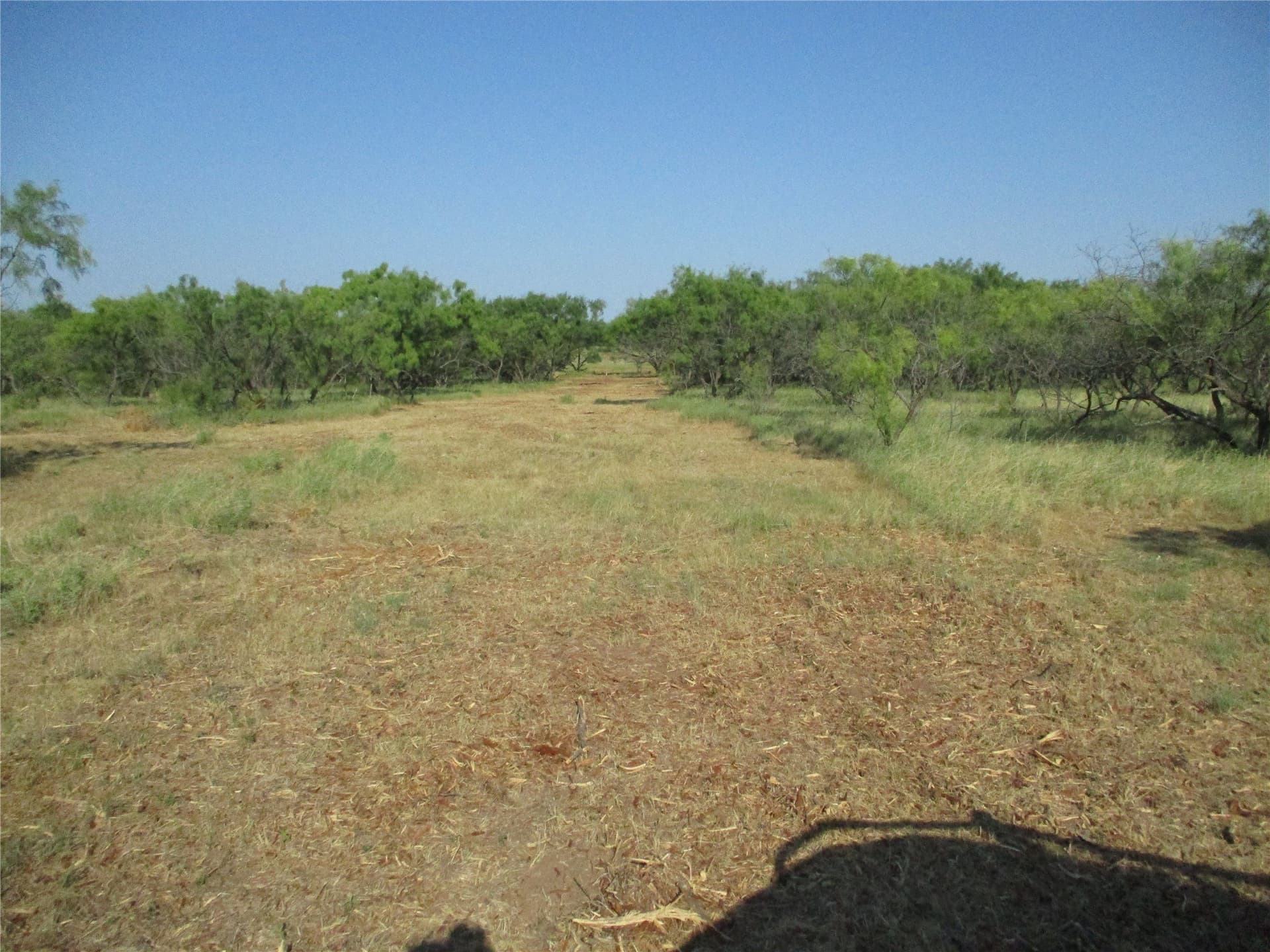 15 acres in Clay County featured view