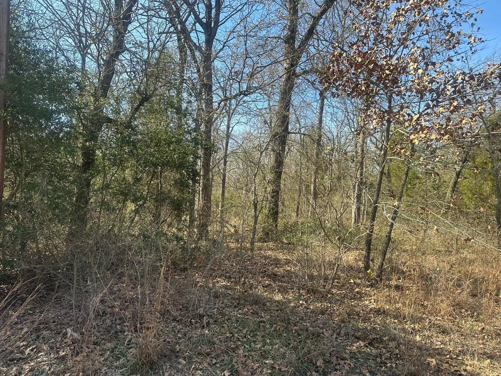 0.11 acres in Henderson County - photo 2
