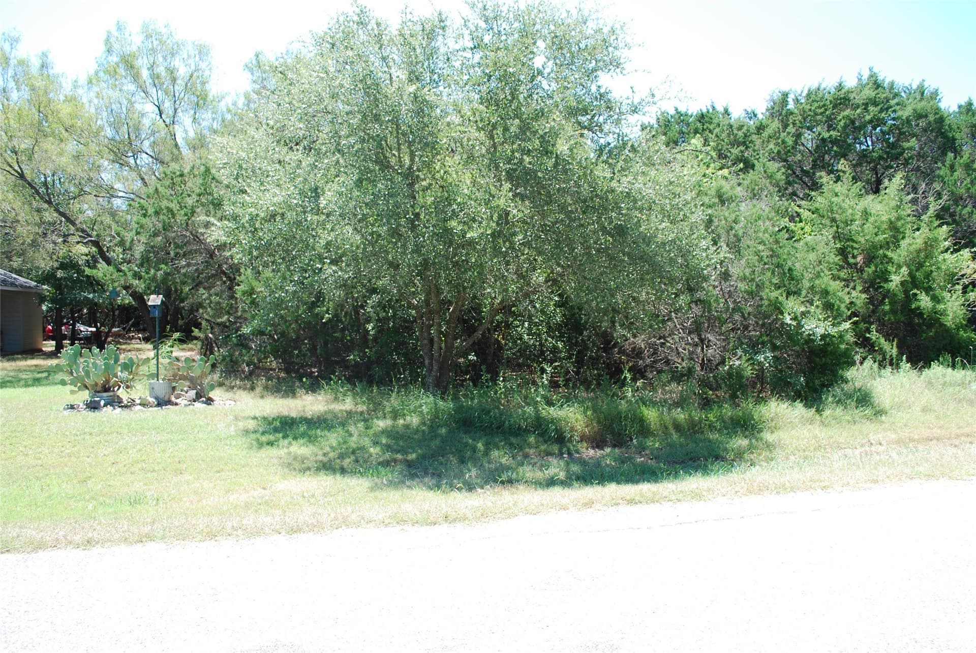 0.29 acres in Hill County gallery image 2